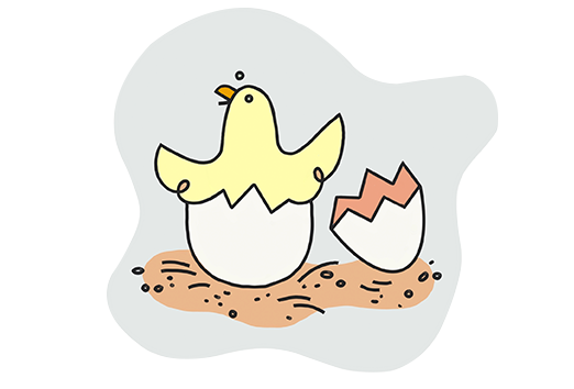 hatched_chicken